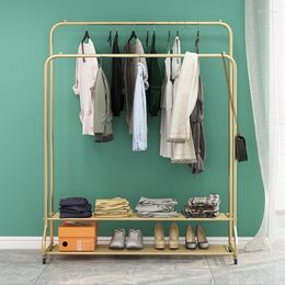 Hooks Light Luxury Clothes Rack Double Pole Floor With Pulley Indoor Coat Clothing Store Simple Storage Home Accessories