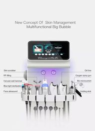 2022 Hot sales Face Care 9 in 1 Multifunctional Skin Care water oxygen Beauty Facial Management Machine