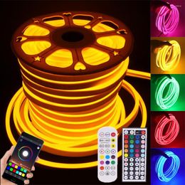 Strips RGB Neon LED Strip DC 12V Flexible Tape Waterproof Ribbon Rope Light Lamp With Bluetooth WiFi APP Control Power Kit