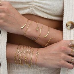 Gold Colour open adjusted snake bangle bracelet for women summer fashion Jewellery 201211226Q