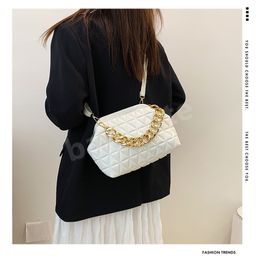 HBP 2022 New Cloud Bag Pleated Thick Chain Handbag Portable Ladies Totes Large-capacity Shell Bags