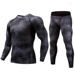 Men's Tracksuits Men's Brand 2 Piece Sportswear Mens Youth Alliance Snakeskin Suit Compression Clothing Muscle Men Snake Skin Spot