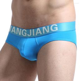 Underpants Sexy Men's Underwear U Convex Pouch Ultra-thin Ice Silk Briefs Low Waist Shorts Men