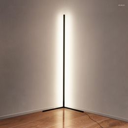 Floor Lamps Nordic Aluminum Led Lamp For Living Room Indoor Decor Standing Black White Bedroom Lights RGB Light