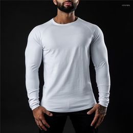 Men's T Shirts Mens Skinny T-shirt Spring Cotton Long Sleeve Shirt Gym Fitness Bodybuilding Workout Soild Tee Tops Fashion Brand Clothing