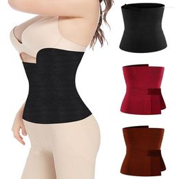 Belts Women Bandage Wrap Lumbar Waist Support Belt Adjustable Comfortable Back Braces For Lower Pain Relief Trainer