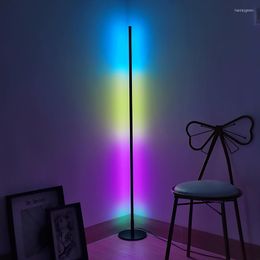 Floor Lamps Nordic LED Standing Lamp Colourful RGB Modern Lights Lighting Living Room Bedroom Bedside Home Decor