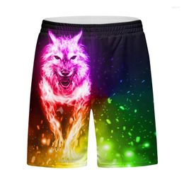 Men's Shorts Men Jogging Guangzhou Cody Lundin Compress Quick Dry Sport Breathable Fabric Pants Running High Quality Design