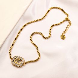 Mai sbiadito Placcato oro 14K Designer di marca Pendenti Collane Collana in acciaio inossidabile con pendente girocollo Collana con testa di tigre Sposarsi