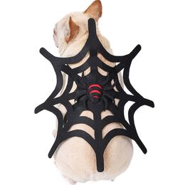 Cat Costumes Spider Web Pet Clothes Funny Halloween Christmas Dog Festive Events Ornaments 220920