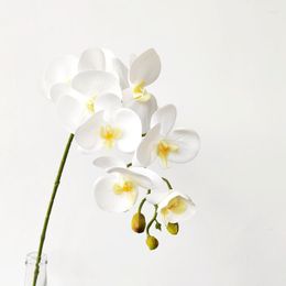 Decorative Flowers White Phalaenopsis Flower Design Artificial Dried Home Decor Wedding Decoration For Decorations Festive Party Supplies