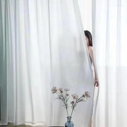 Curtain Translucent And Opaque People Thickened Velvet Chiffon White Screen Window