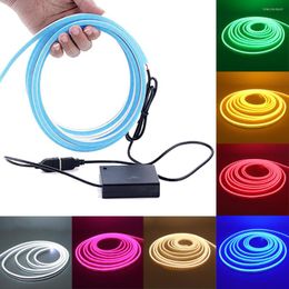 Strips DC 5V LED Strip Light USB Powered Flexible Neon Tape Dimmable Sign Waterproof Battery Power Ribbon Decoration