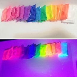 Nail Glitter 20g Neon Powder Fluorescence Pigment Phosphor Fluorescent Nails Art Chrome Dust For Make Up DIY Soap