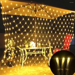 Strings LED Net Mesh String Light With Au/EU/US/UK Plug Christmas Waterproof Fairy Lights Lamp For Home Outdoor Lighting Decoration