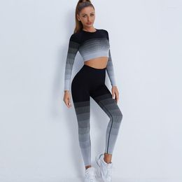 Women's Two Piece Pants Women's ASHEYWR Seamless Gradient Sets Women Slim Knit High Elastic Stripe Fitness Suits Workout Long Sleeve