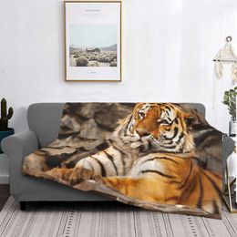 Blankets Siberian Tiger Fleece Throw Blanket Animal Lovers For Bed Bedroom Super Soft Rug