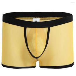 Underpants Men Underwear Shorts Lingerie Sexy Mesh Transparent Boxer Ice Silk Boxers Mid-waist Seamless Penis Pouch Pants