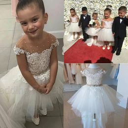 Girl Dresses Hi-Lo Tulle Flower Girls With Lace Appliques Beads Sash Sheer Neckline Pageant Gown Sexy Back Birthday Kids Clothes