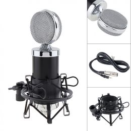 Professional BM 5000 Condenser Microphone with Circuit Control and Gold-plated Large Diaphragm Head for KTV / Studio