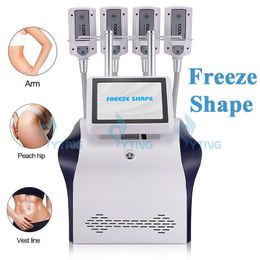 Fat Freezing Cryolipolysis Pad EMS Muscle Stimulation Machine Body Slimming Cellulite Reduction Device with CE