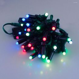 Strings IP67 Colourful RGB LED Dream Light String Globe Fastoon Ball Remote Control Lights Outdoor For Garden Lawn Christmas