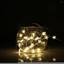 Strings 2/3M LED Copper Wire Star Curtain String Lights Lamp Fairy Lighting For Outdoor Wedding Christmas Decoration Battery Operated