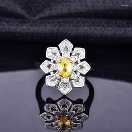 Cluster Rings DIWENFU 925 Sterling Silver Pink High Carbon Diamond Flower For Women Sparkling Wedding Party Bridal Fine Jewelry