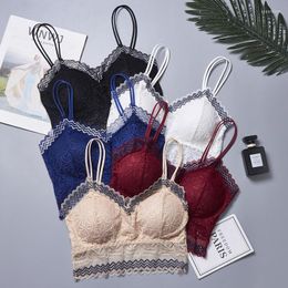 Bustiers & Corsets Sexy Lace Bra Top For Women Bralette Tube Lingerie Crop Small Bust Cup AB