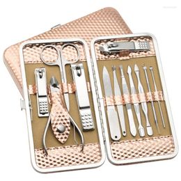 Nail Art Kits Stainless Steel Clipper Manicure Pedicure Tools Scissors Ear Spoon Care Suits 12pcs