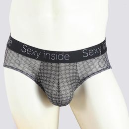 Underpants Mens Sexy Mesh Boxer Briefs See Through Striped Printed Underwear Man Low Rise Penis Pouch Male Leopard Panties