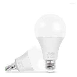 Bulb Light 3W 6W 9W 12W 15W 18W 20W Power Bulbs Lampada Bombilla Table Lighting Living Room Home Luminair