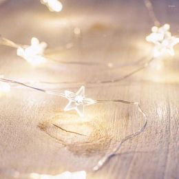 Strings 30leds 3M Star Cactus LED Silver Copper Wire Fairy String Light With Battery For Wedding Party Home Decoration