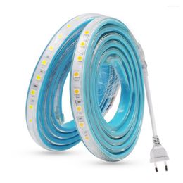 Strips 220V LED Strip Light EU Plug SMD 60Leds/M Outdoor Waterproof Tape Ribbon 20CM Cuttable White/Warm White/Blue/Pink/Red