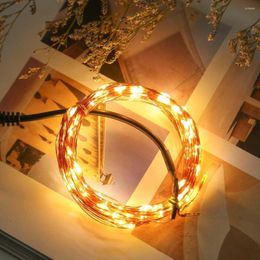 Strings LED String Lights 100 Twinkle Copper Wire For Bedroom Patio Christmas Parties Decoration