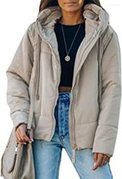 Women's Jackets Women's Womens Coat Oversized Fashion Hooded Style Winter Autumn Full Zipper Puffer Jacket With Pockets