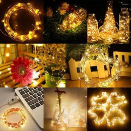 Strings USB LED Christmas Lights Outdoor String Light Waterproof Fairy Decoracion Copper Wire For Wedding Xmas