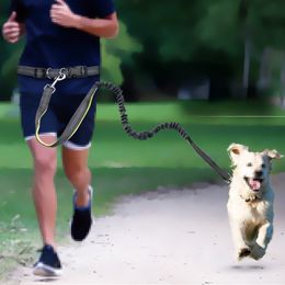 Dog Collars Leashes Pet Elastic Hand Freely Jogging Traction Rope Running Belts Loop Retractable Collar and Set Colla 220923