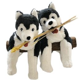 Plush Dolls Cute Plush LIVLIG Husky Dog Toy Pillow Stuffed Siberian wolf Long Plush Lifelike Dog Doll toys Birthday Gift for Kids 220927