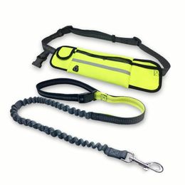 Dog Collars Leashes Dog Leash Running Nylon Hand Freely Pet Products Harness Collar Jogging Lead Adjustable Waist Leashes Traction Belt Rope 220923