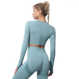 Bustiers & Corsets Crop Top Fitness Women Sportswear Seamless Knitwear High Elasticity Simple Solid Colour Workout Clothes Sports