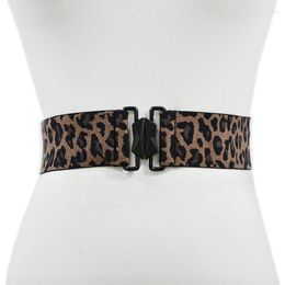 Belts For Women Simple Elastic Waist Seal Leopard Print Decorative Wide Fashion Ladies Belt Black 5cm