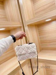 2022 Evening Bags Crossbody Bags Luxury Brand Designer Fashion Simple Small Square Women's Chain Mobile Phone Fur Handbags