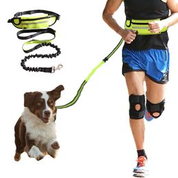 Dog Collars Leashes Dog Leash Running Nylon Hand Freely Pet Products Harness Collar Traction Rope Jogging Lead Adjustable Waist Leashes collar 220923