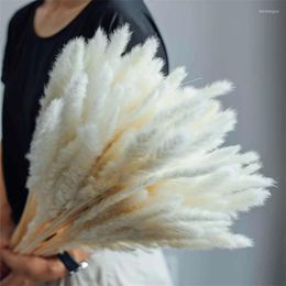 Decorative Flowers Artificial Colourful Bulrush Natural Dried Branch Pampas Grass Home Decor Phragmites Wedding Party Supplies