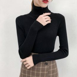 Women's Sweaters Women Knitted Sweater Autumn Winter Soft Warm Thick Ribbed Pullovers Casual Long Sleeve Femme Turtleneck Slim Jumper