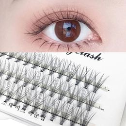 False Eyelashes Cluster C Curl Lash Grafting DIY Eye Makeup Mink Hair Eyelash Extension Strip Lashes