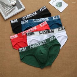 Underpants Drop Men Underwear Male Bikini Pants Low Rise Comfortable Breathable Briefs Men's Slip