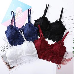 Bustiers & Corsets Bralette Tube Tops Sexy Lace Lingerie Bandeau Summer Women Seamless Padded Push Up Bra Tanks Crop Girl Underwear Camisole