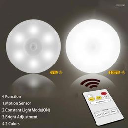 Night Lights USB Recharge Under Cabinet Light Wireless Remote Control 2 Color Wardrobe Bedroom Lamp Motion Sensor For Home